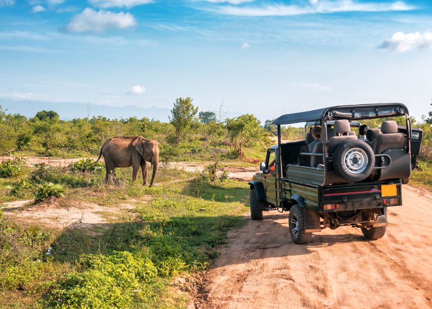 Safari – Highlights: The Wonders of South Africa 2026-27, Guiness Travel escorted tour