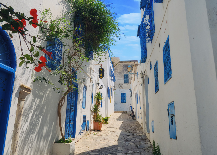 Scopri Sidi Bou Said Viaggi di Gruppo Tunisia