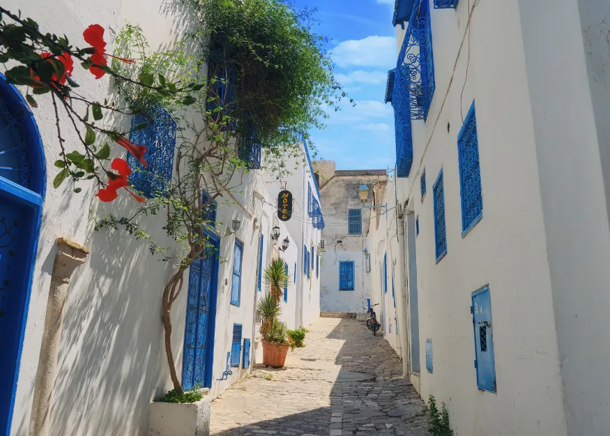 Sidi Bou Said – Grand Tour of Tunisia 2026-27, Guiness Travel escorted tour