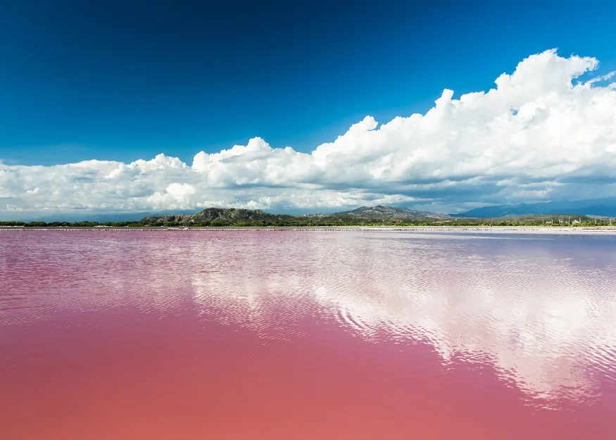Pink Lake – Grand Tour of Senegal 2026-27, Guiness Travel escorted tour