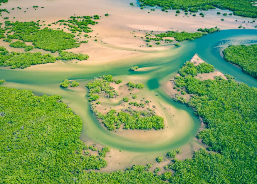 Saloum Delta Park – Grand Tour of Senegal 2026-27, Guiness Travel escorted tour