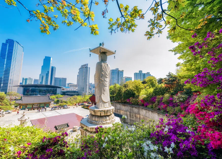 Grand Tour of South Korea 2026-27 – Guiness Travel escorted tour