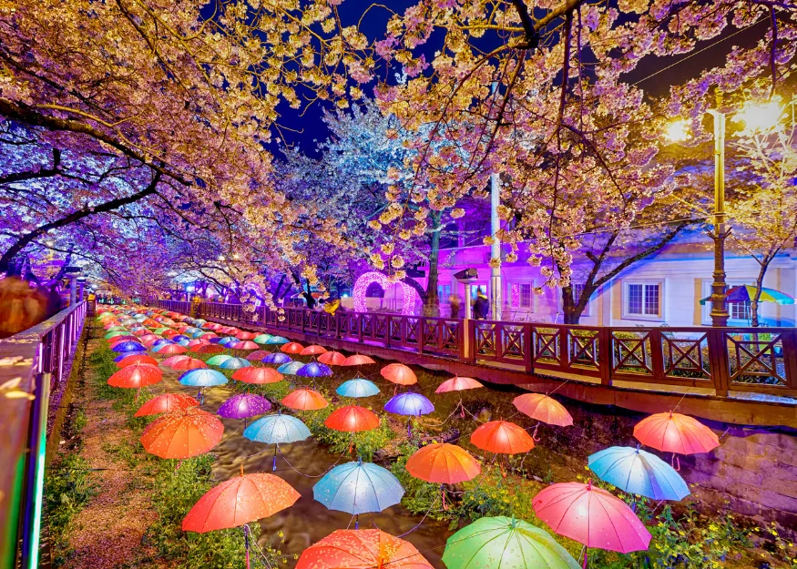 Busan – Grand Tour of South Korea 2026-27, Guiness Travel escorted tour