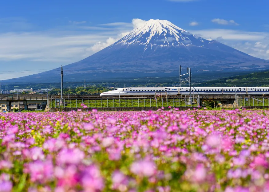 Shinkansen, bullet train – Discovery Japan 2026-27 New, Guiness Travel escorted tour