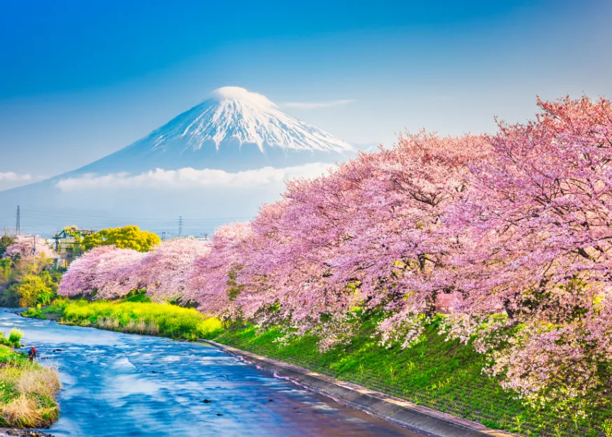 Mount Fuji – Highlights of Japan 2026-27, Guiness Travel escorted tour