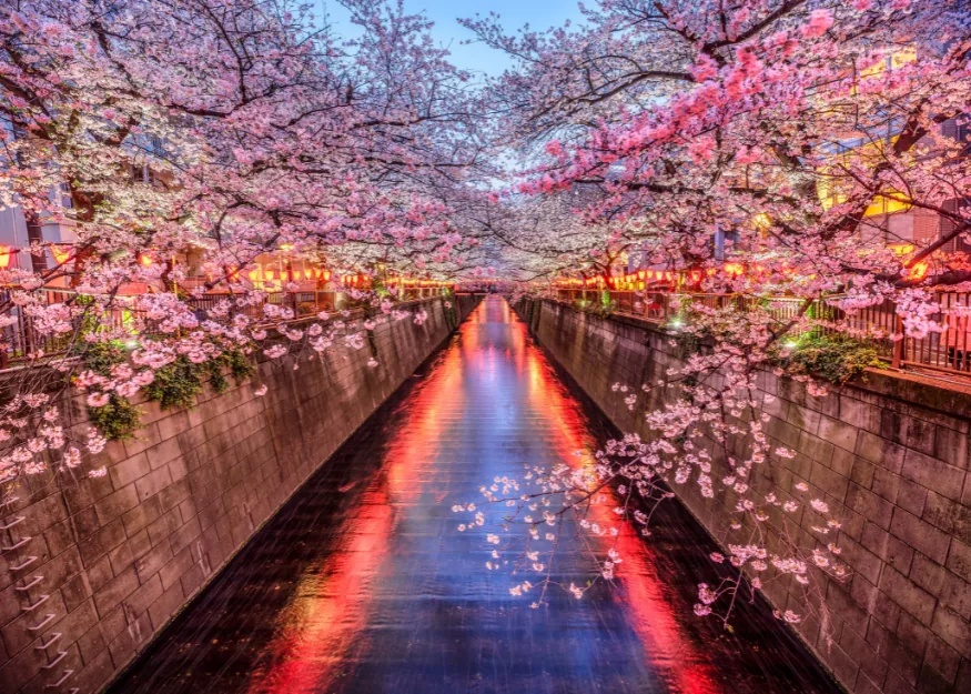 Tokyo – Hokkaido - The Poetry of Nature 2026-27, Guiness Travel escorted tour