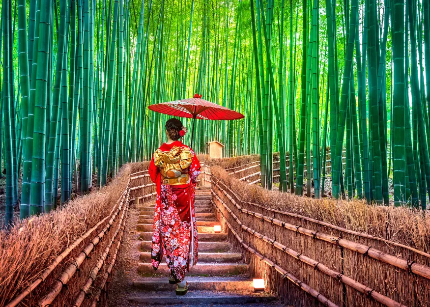 Treasures of Japan 2026-27 – Guiness Travel escorted tour