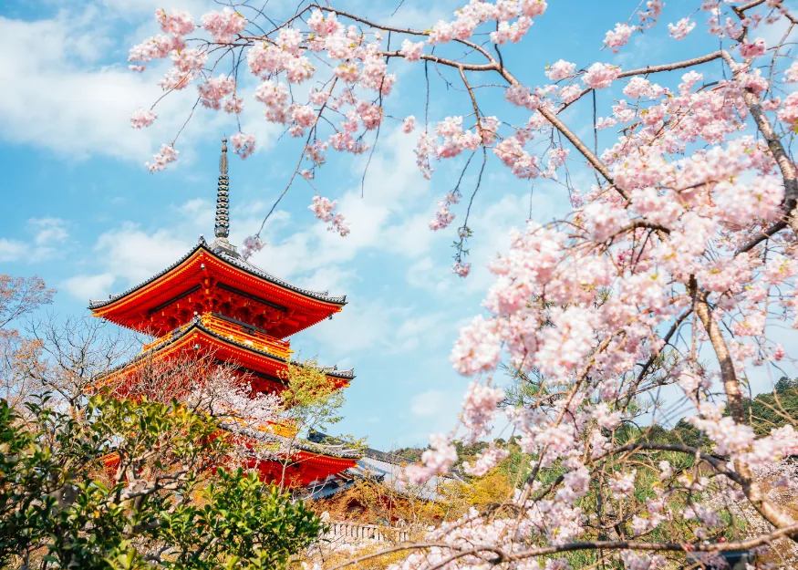 KYOTO - Kiyomizu – Wonderful Japan & Bali 2026-27, Guiness Travel escorted tour