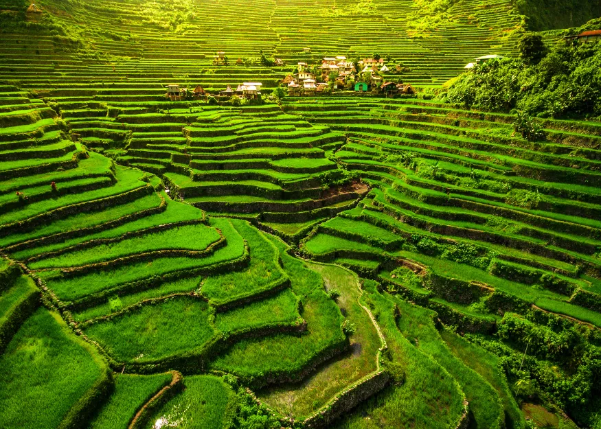 Banaue, rice terraces – The Magic of the Philippines 2026-27, Guiness Travel escorted tour