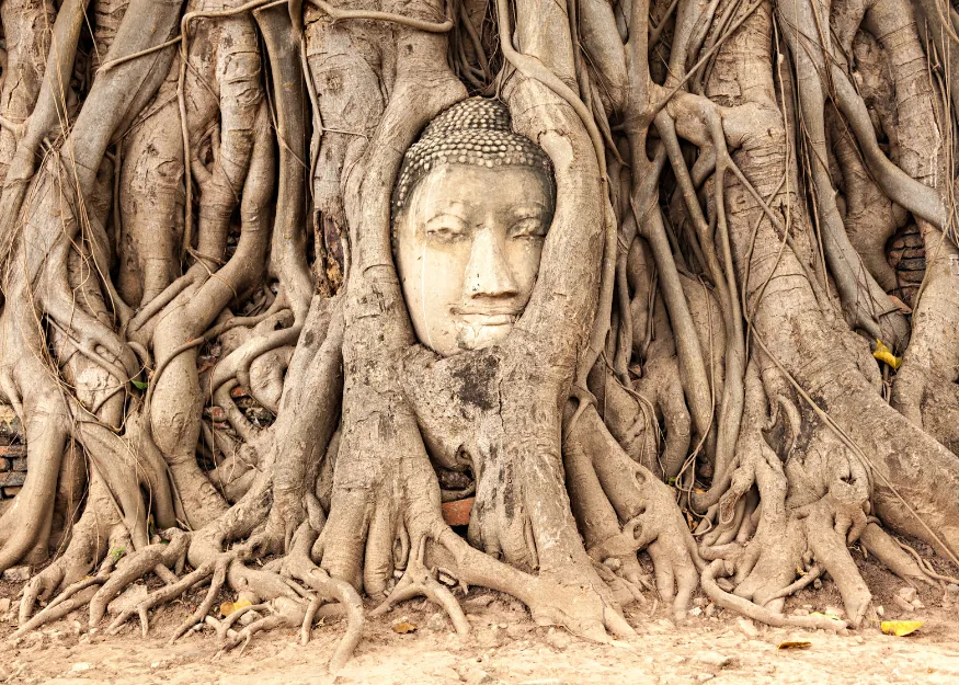 Ayutthaya – Highlights of Thailand 2026-27, Guiness Travel escorted tour