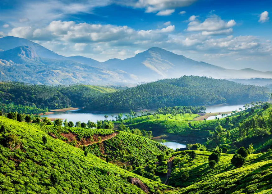 Southern India - Enchanting Kerala 2026-27 – Guiness Travel escorted tour