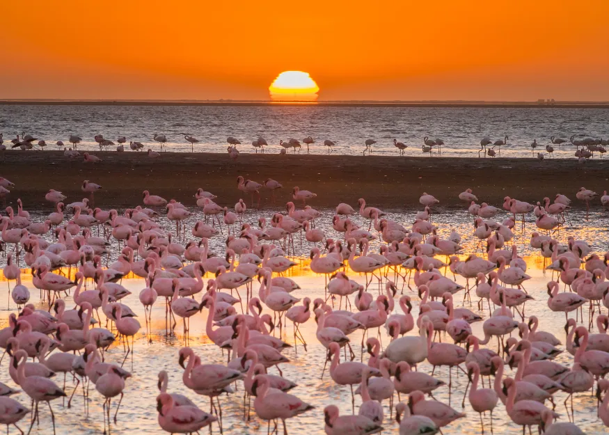 Highlights of Namibia 2026-27 – Guiness Travel escorted tour
