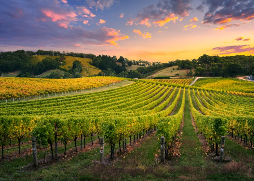 Basque Country & Aquitaine 2026-27 – Guiness Travel escorted tour