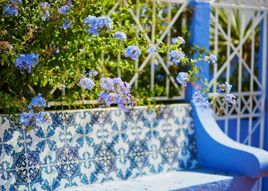 Porto, azulejos – Essence of Portugal 2026-27, Guiness Travel escorted tour