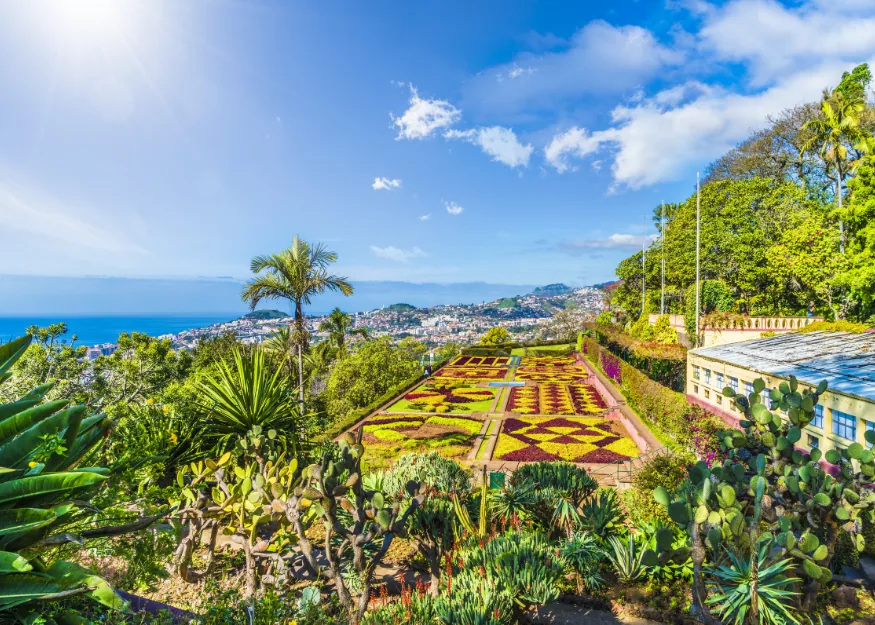 Tour of Madeira 2026-27 – Guiness Travel escorted tour