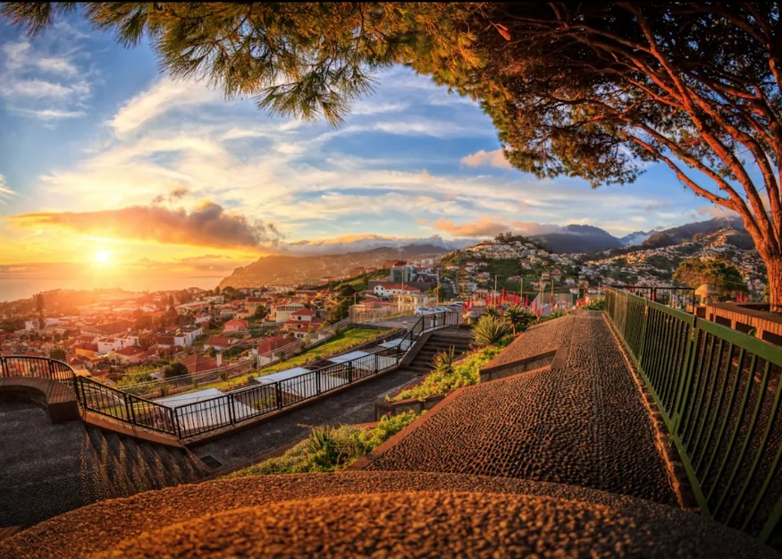 Madeira, Funchal – Tour of Madeira 2026-27, Guiness Travel escorted tour