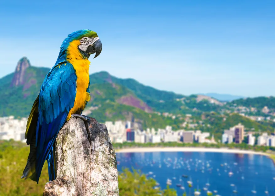 Argentina & Brazil 2026-27 – Guiness Travel escorted tour