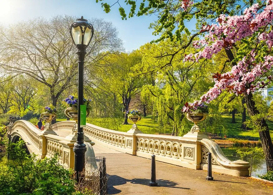 New York - Central Park – Discovery New York 2026-27, Guiness Travel escorted tour