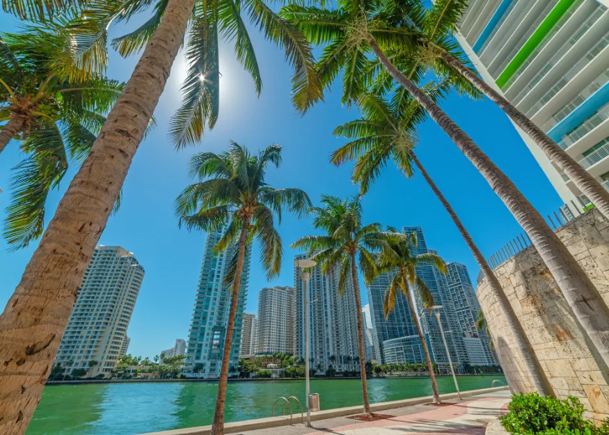Miami – Grand Tour of Florida 2026-27, Guiness Travel escorted tour