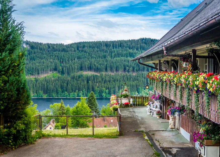 Black Forest – Munich & the Black Forest 2026-27, Guiness Travel escorted tour