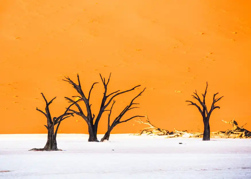 Sossusvlei-Deadvlei, the dead lake – Grand Tour of Namibia 2026-27, Guiness Travel escorted tour