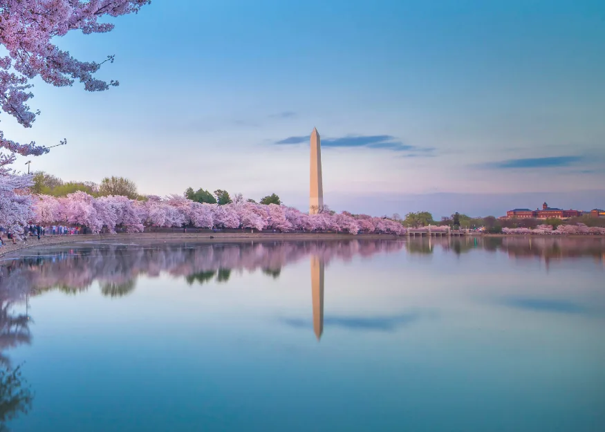 Wonders of the Atlantic Coast 2026-27 New – Guiness Travel escorted tour