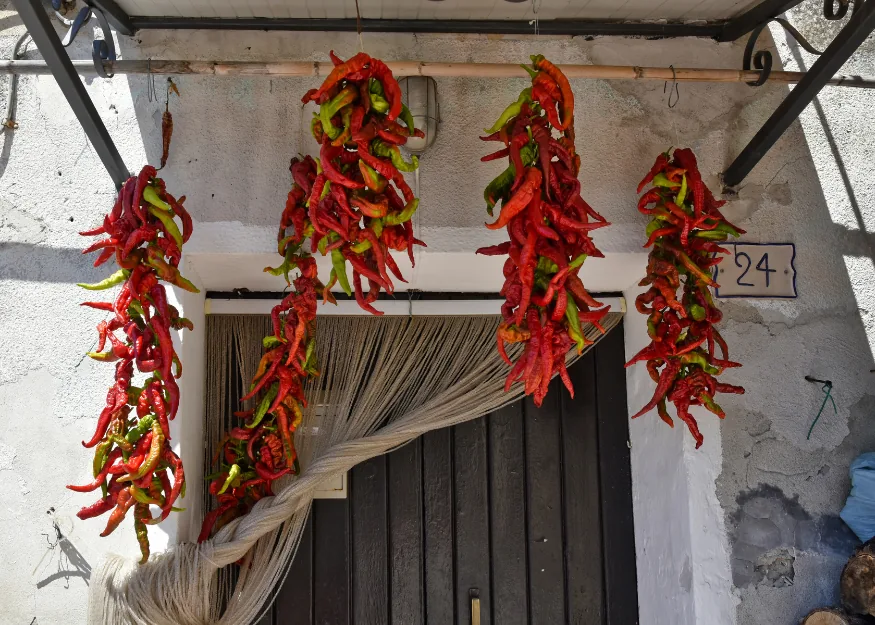 Calabrian chilli peppers – Grand Tour of Calabria & the 5 Senses 2026-27, Guiness Travel escorted tour