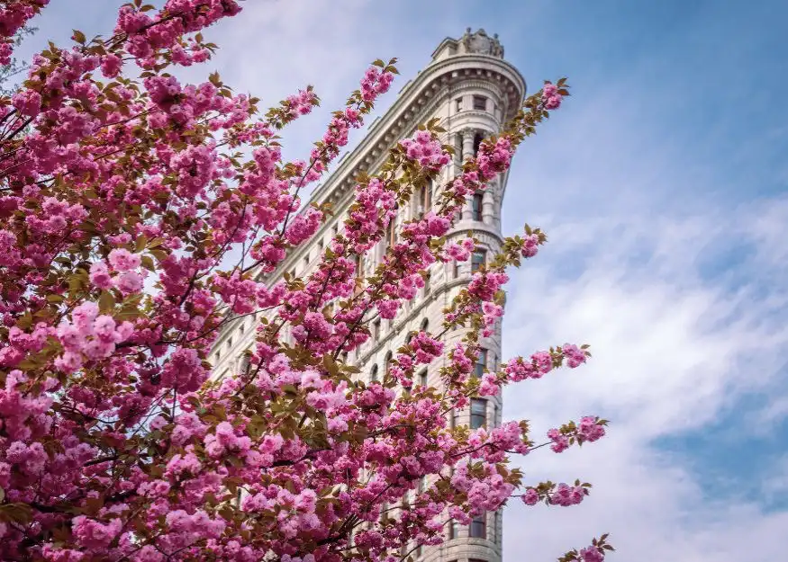New York, Flatiron – Panorama States 2026-27, viaggio organizzato Guiness Travel