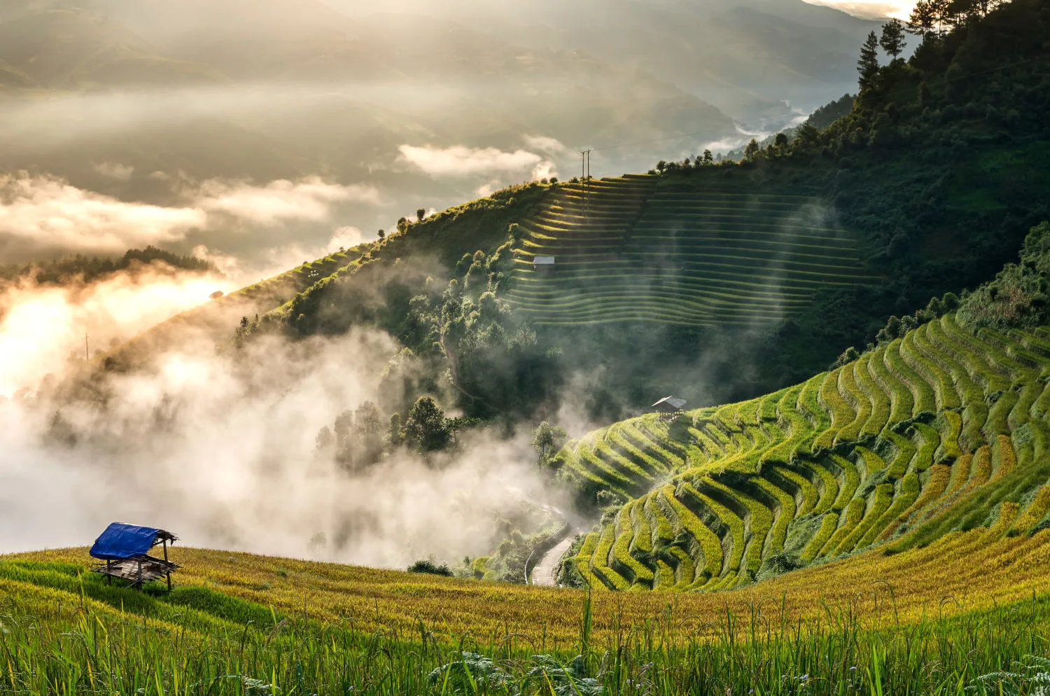 Vietnam