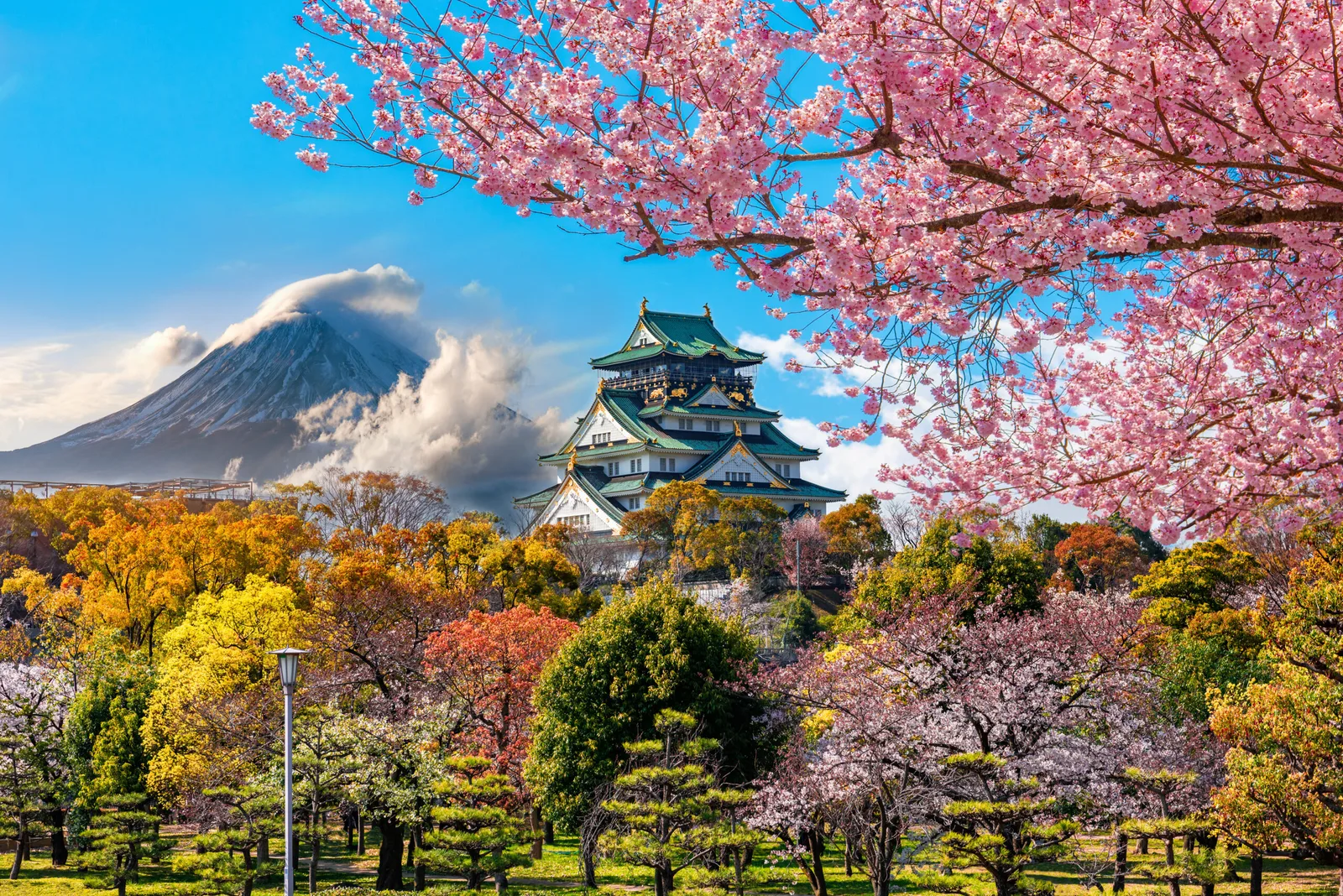 Viaggio organizzato: Gran Tour Giappone 2026